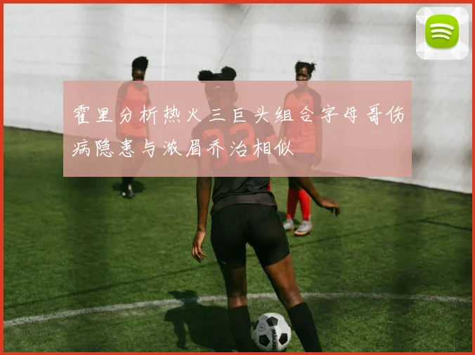 霍里分析热火三巨头组合字母哥伤病隐患与浓眉乔治相似