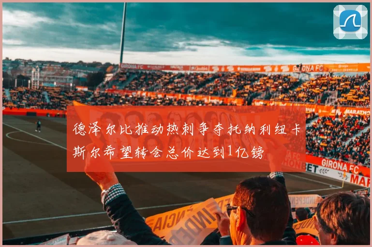 德泽尔比推动热刺争夺托纳利纽卡斯尔希望转会总价达到1亿镑